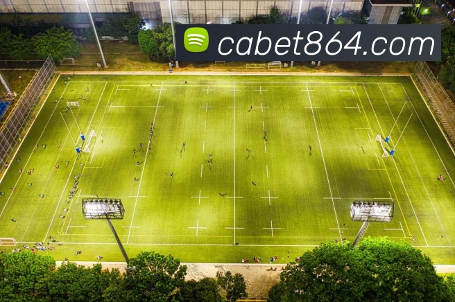 ca亚洲城APP 封面图